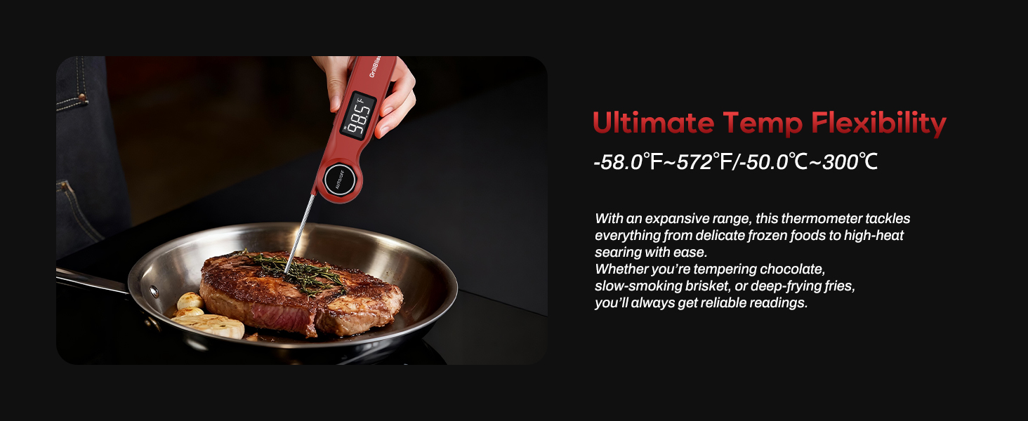 digital food thermometer