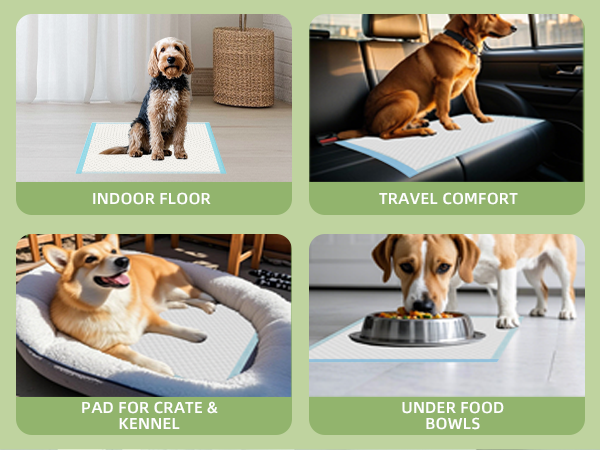 Multiple Usages Potty Pads