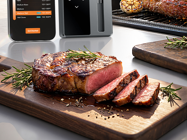 Meat Thermometer