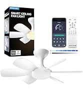 ANGELHALO Smart Ceiling Fans with Lights - 20" Low Profile Flush Mount 2-in-1 Fan Light with APP ...