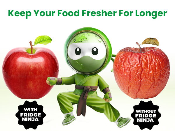 Keep Your Food Fresher for Longer With Fridge Ninja