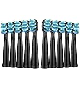 Replacement Toothbrush Heads Compatible with TEETHEORY Sonic and Fairywill Toothbrush - Electric ...