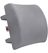 LOVEHOME Memory Foam Lumbar Support Pillow for Desk Chair with 3D Mesh Cover Balanced Firmness fo...