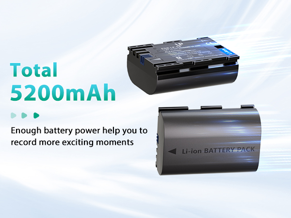 battery for canon r6