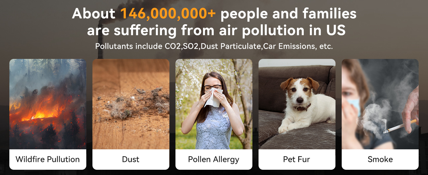 D10-01Air Purifiers