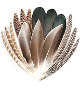 Daieeparty 15pcs Pheasant Feathers 5-8inch Natural Craft Feather for Home DIY Dreamcatcher Hat Co...