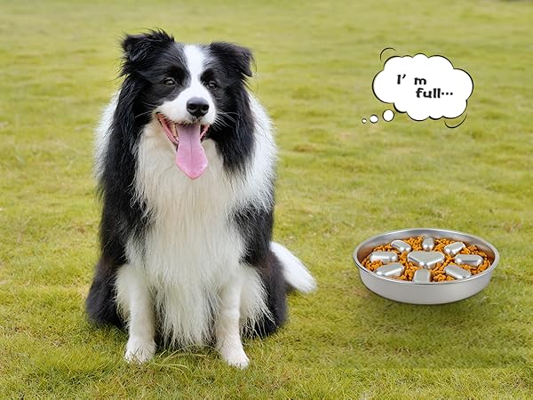 slow feeder dog bowls