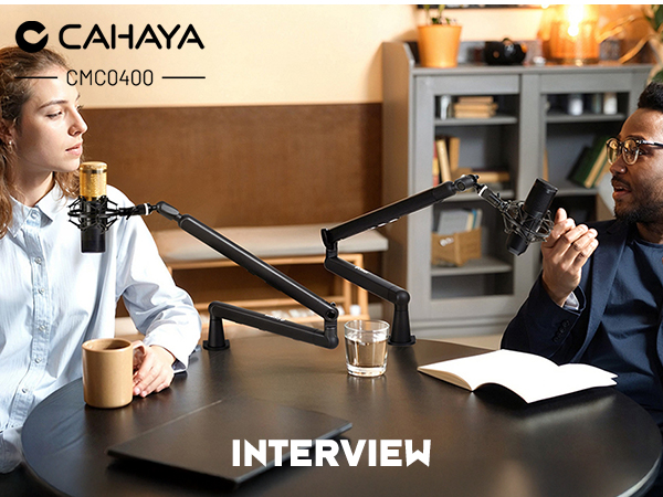 interview microphone desk arm