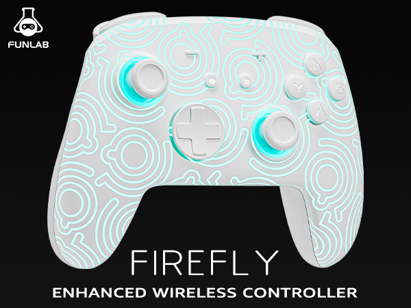 Nintendo switch pro controller