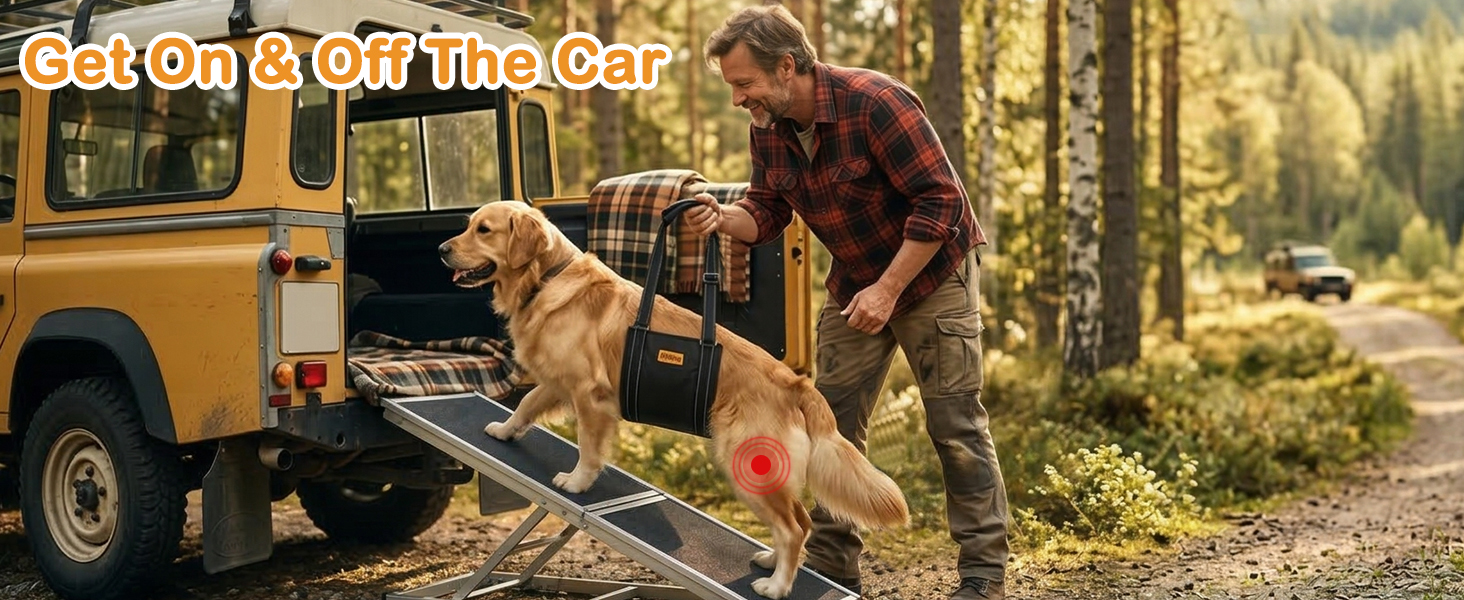 Great Mobility Aids for Dogs
