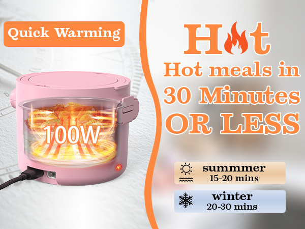 heated lunch box