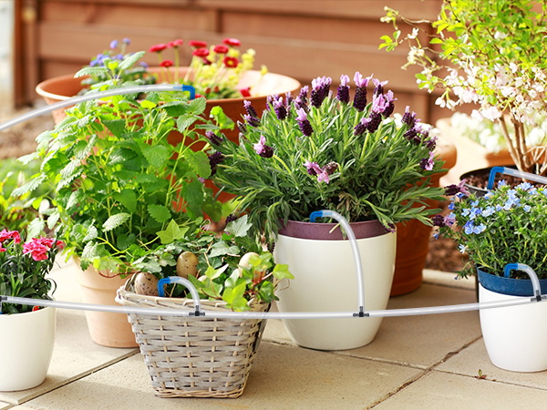 Automatic Plant Waterer
