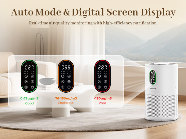 large room air purifiers for home