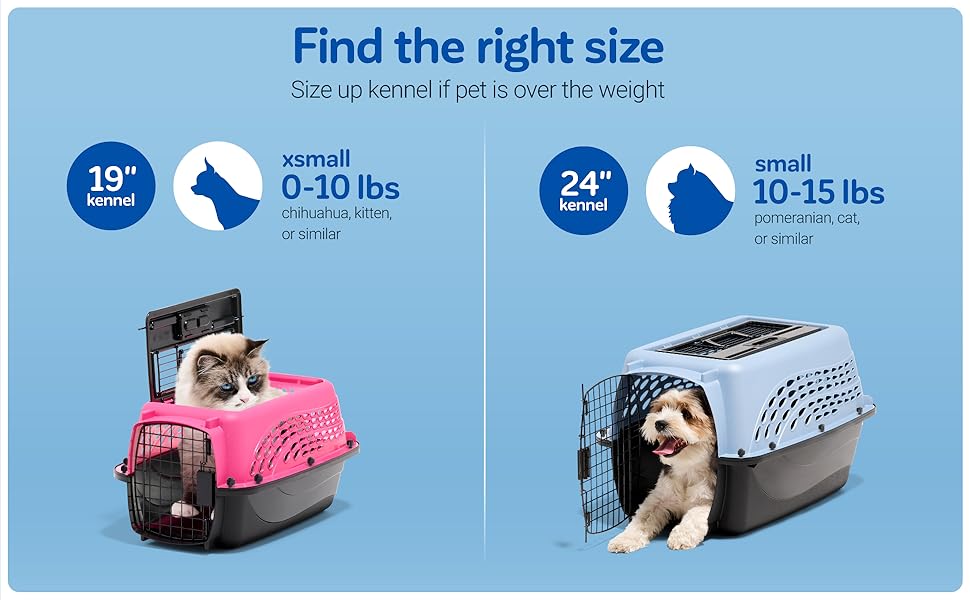 2-Door Kennels 3