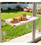 HoneyGuardian Cat Window Prech,Metal Support from Below with 4 Suction Cups, pet Bed, cat Window ...