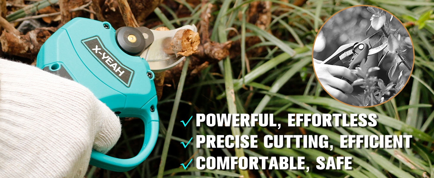 Pruning Shears