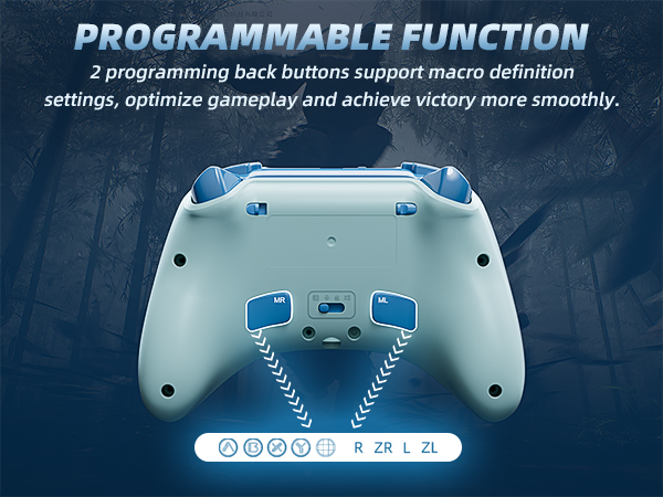 PROGRAMMABLE FUNCTION