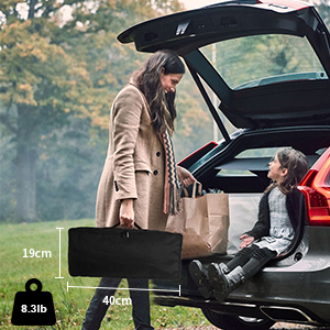 Portable Projector Screen