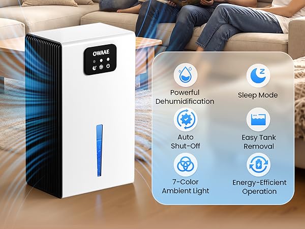 dehumidifiers for home