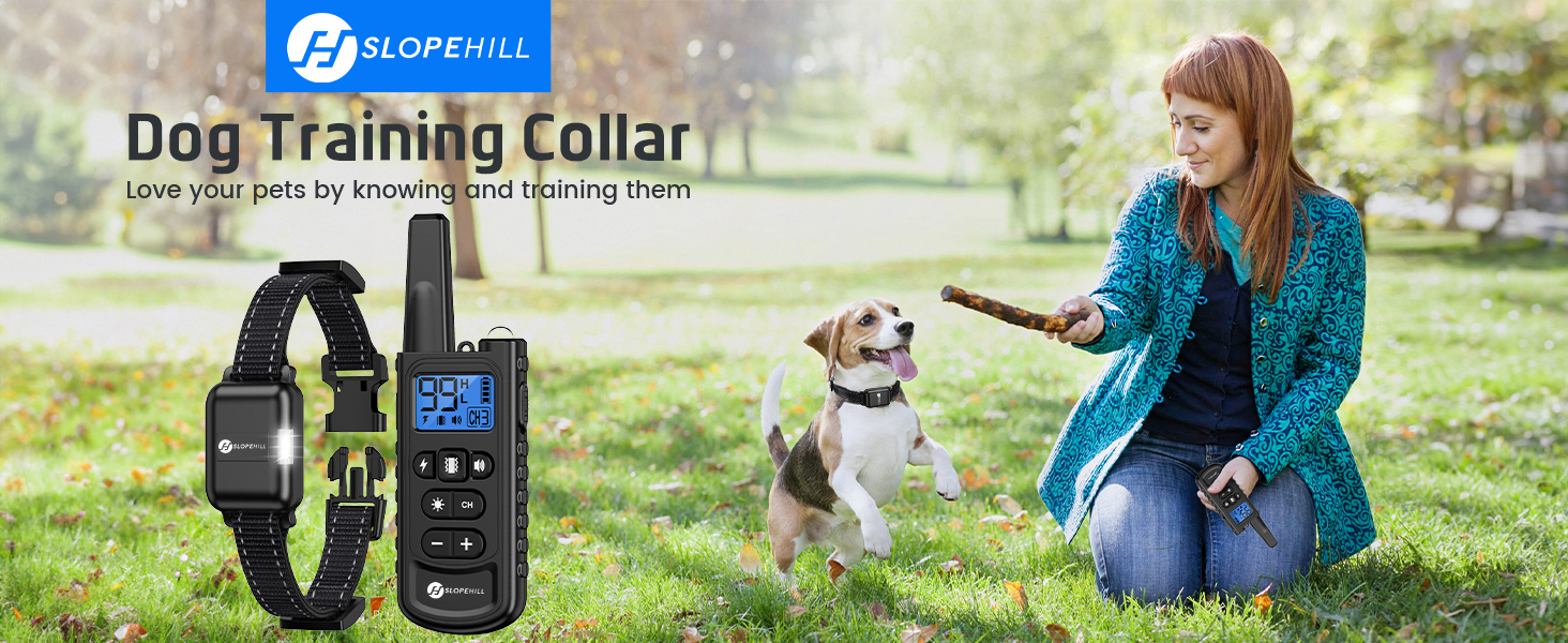 Dog Training Collar with Remote