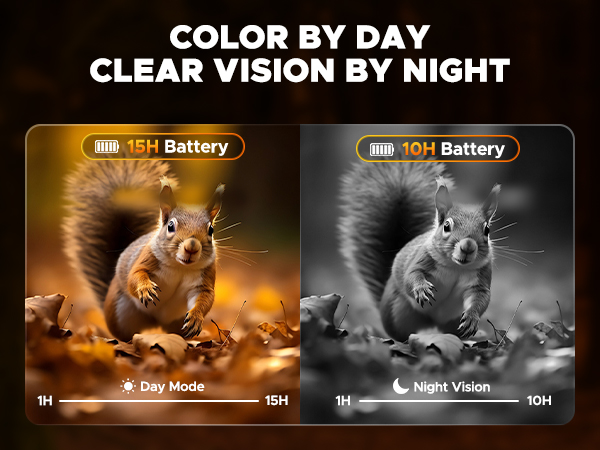 night vision goggles