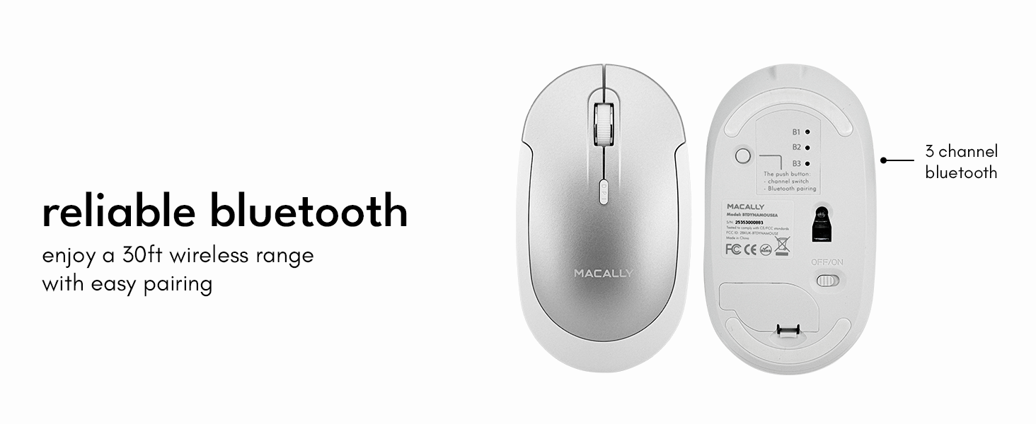 mouse