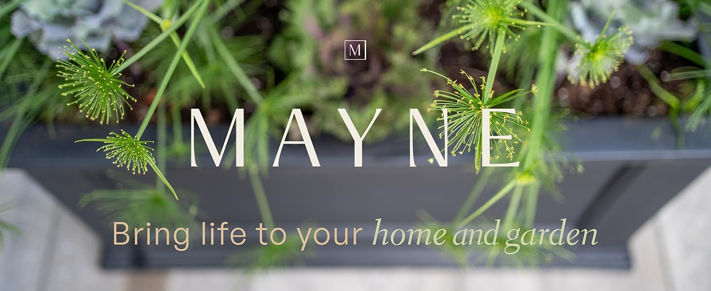 Intro Banner