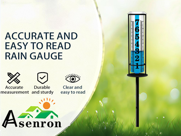 Rain Gauge