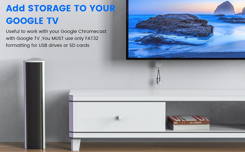 Google Chromecast with Google TV adapter