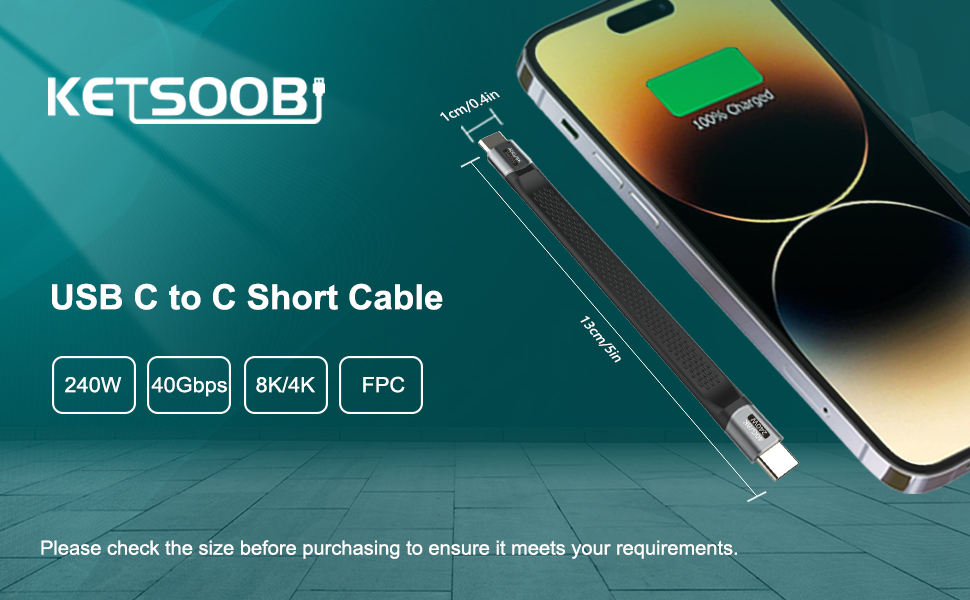 USB C to C Short Cable