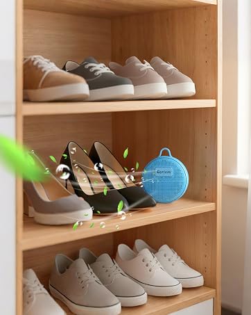 refrigerator deodorizer