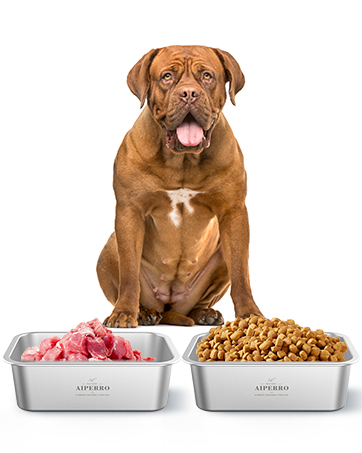 Stainless Steel Dog Bowls for Large Dogs