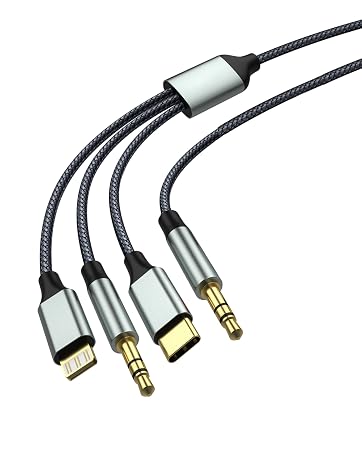 3+1-AUX