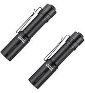 ThruNite EDC Flashlight Archer Mini, 405 Lumen Tail Switch LED Flashlight, USB C Rechargeable Lit...
