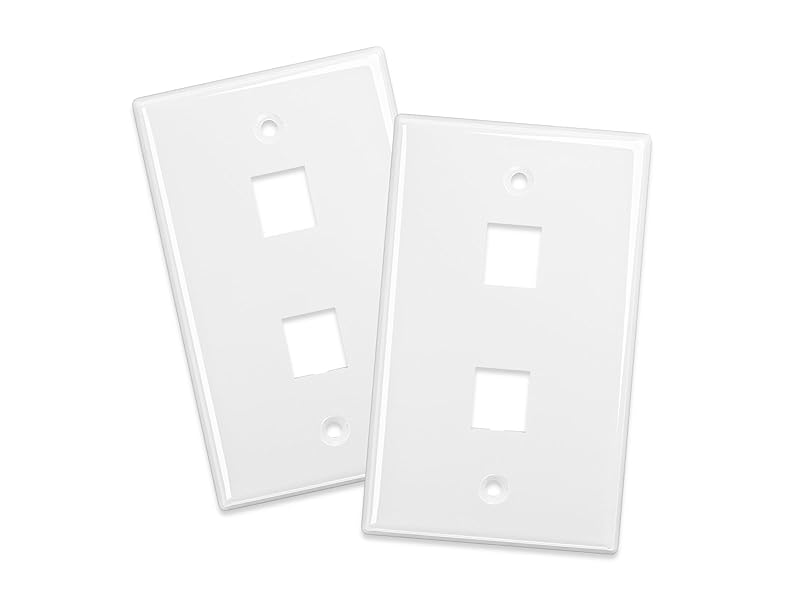 2-port wall plate