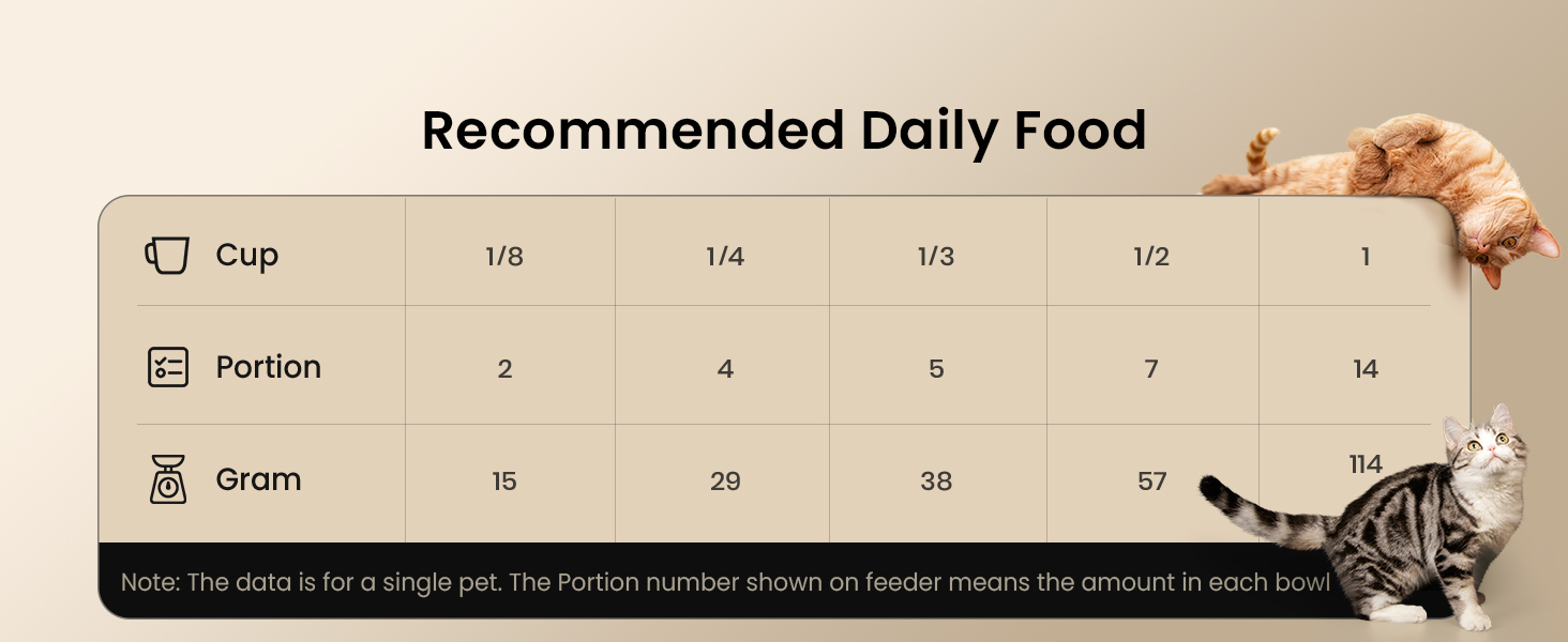 automatic cat feeder