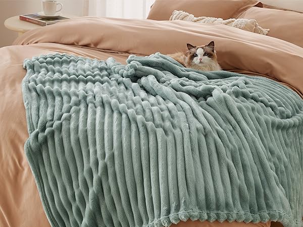 sage green blanket