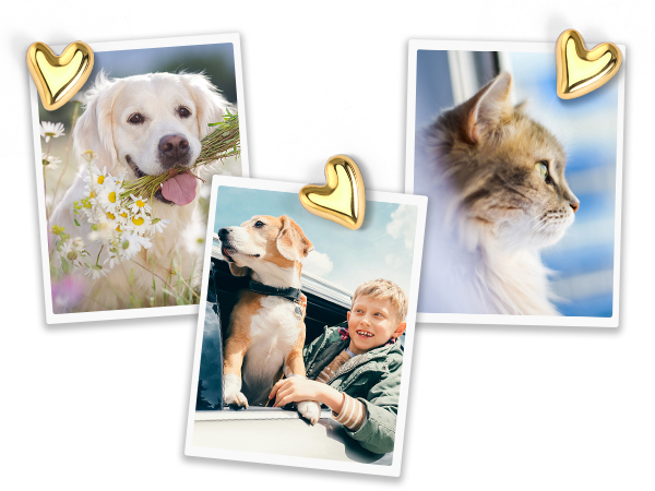 thumb tacks for wall