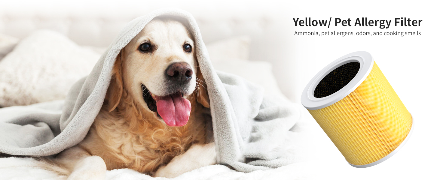 air purifier for room