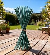 Bamboo Plant Stakes