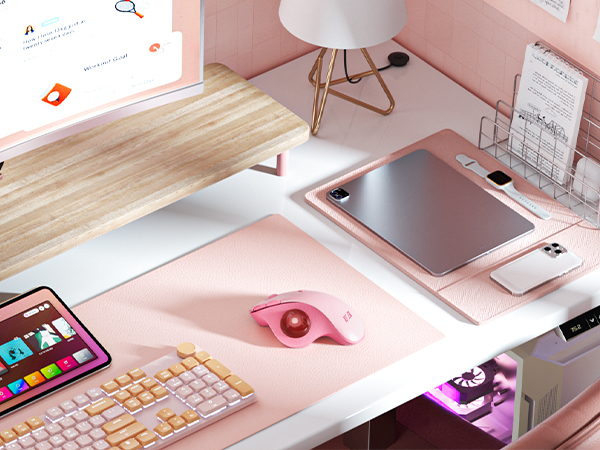 Pink Ergonomic Mouse