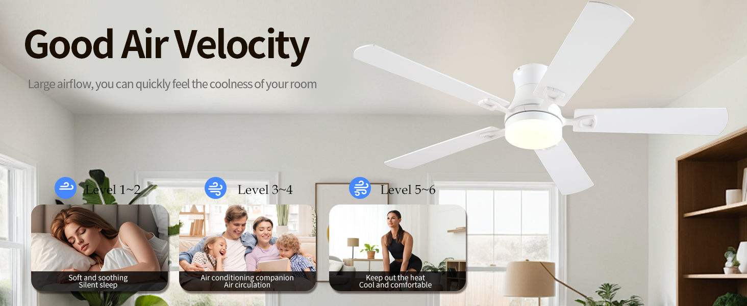 ceiling fan