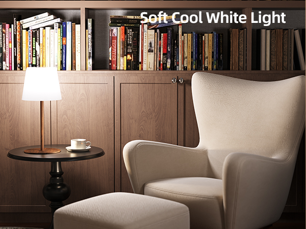 Desk Lamp for Reading