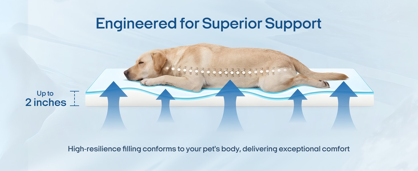 Engineered for Superior Support