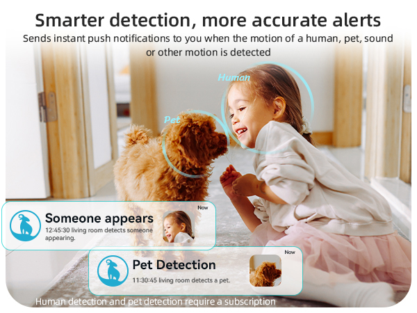 security camera with AI detecion