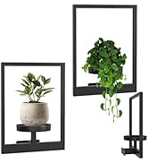 NCONCO Wall Plant Holder, 2 Pack Picture Frame Plant Wall Shelf, Metal Plant Wall Frame, Window P...