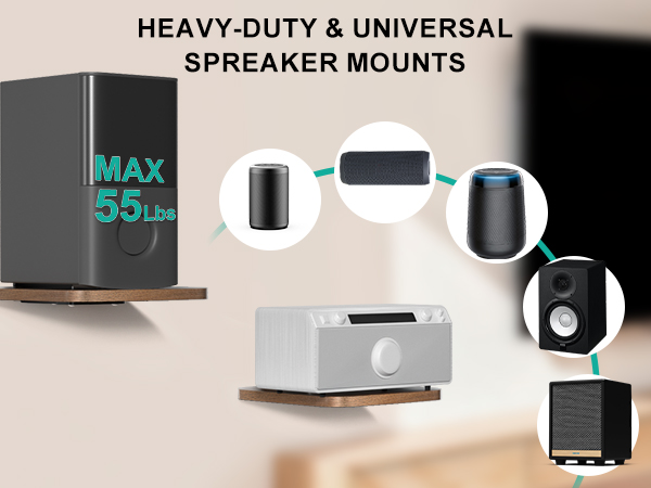 Speaker Wall Mount