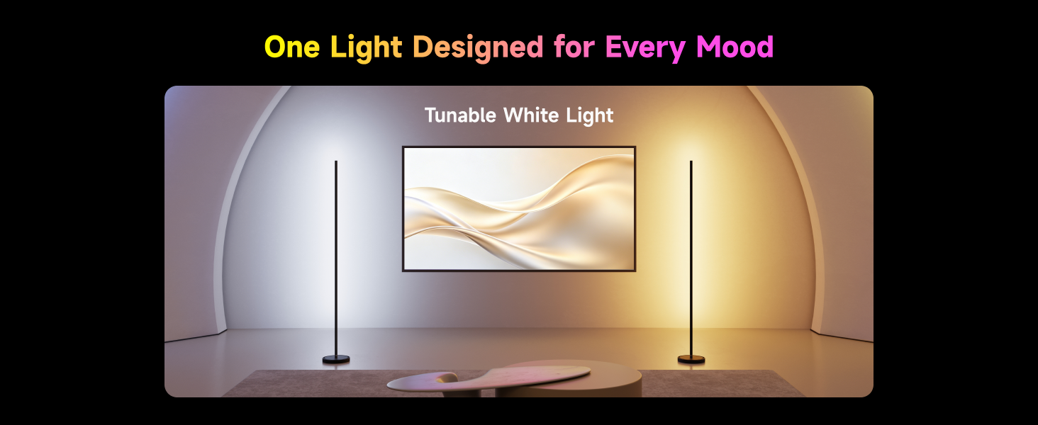 LED Floor Lamp