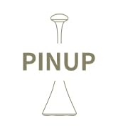 pinup