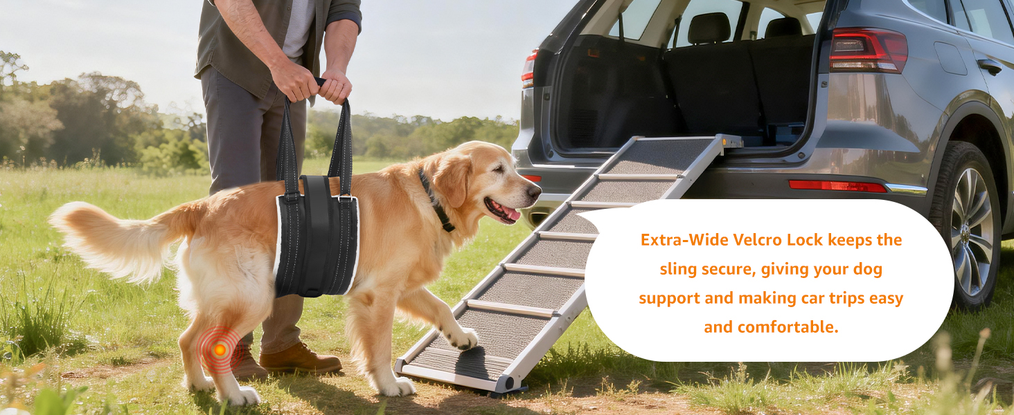 dog lift